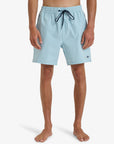 Billabong Mens Every Other Day Swim Shorts - Dusty Blue - ManGo Surfing