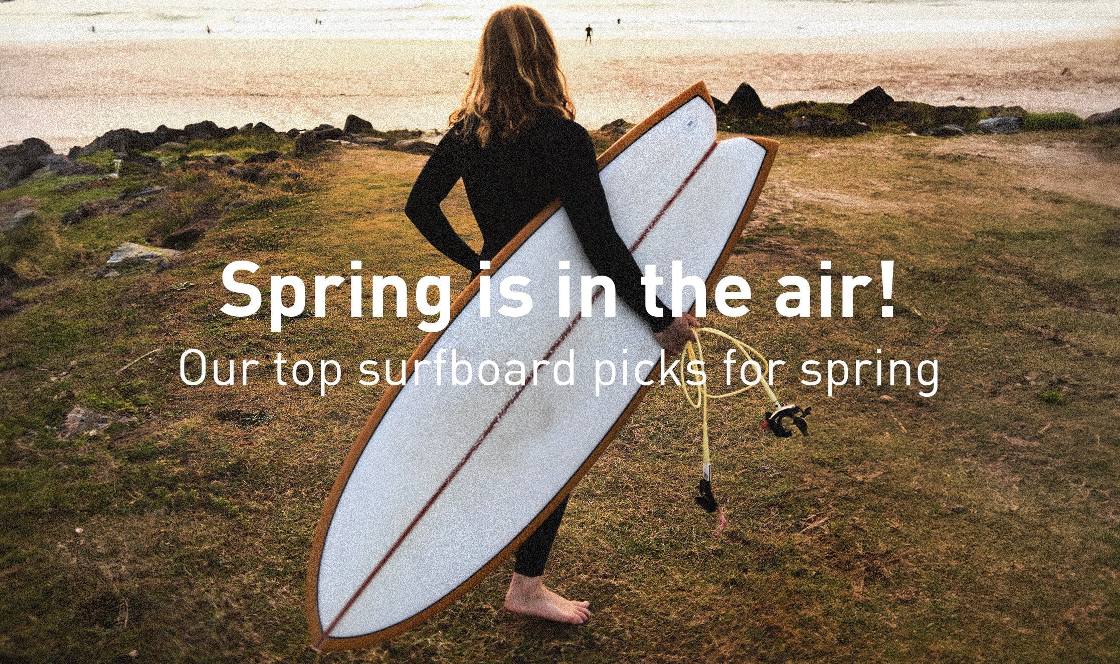 Our top surfboard picks for spring!