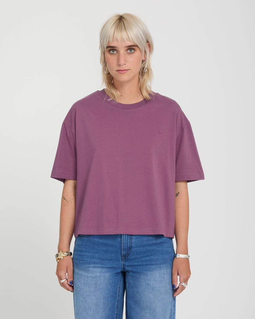 Volcom Womens Stone Blanks Up T-Shirt - Orchid