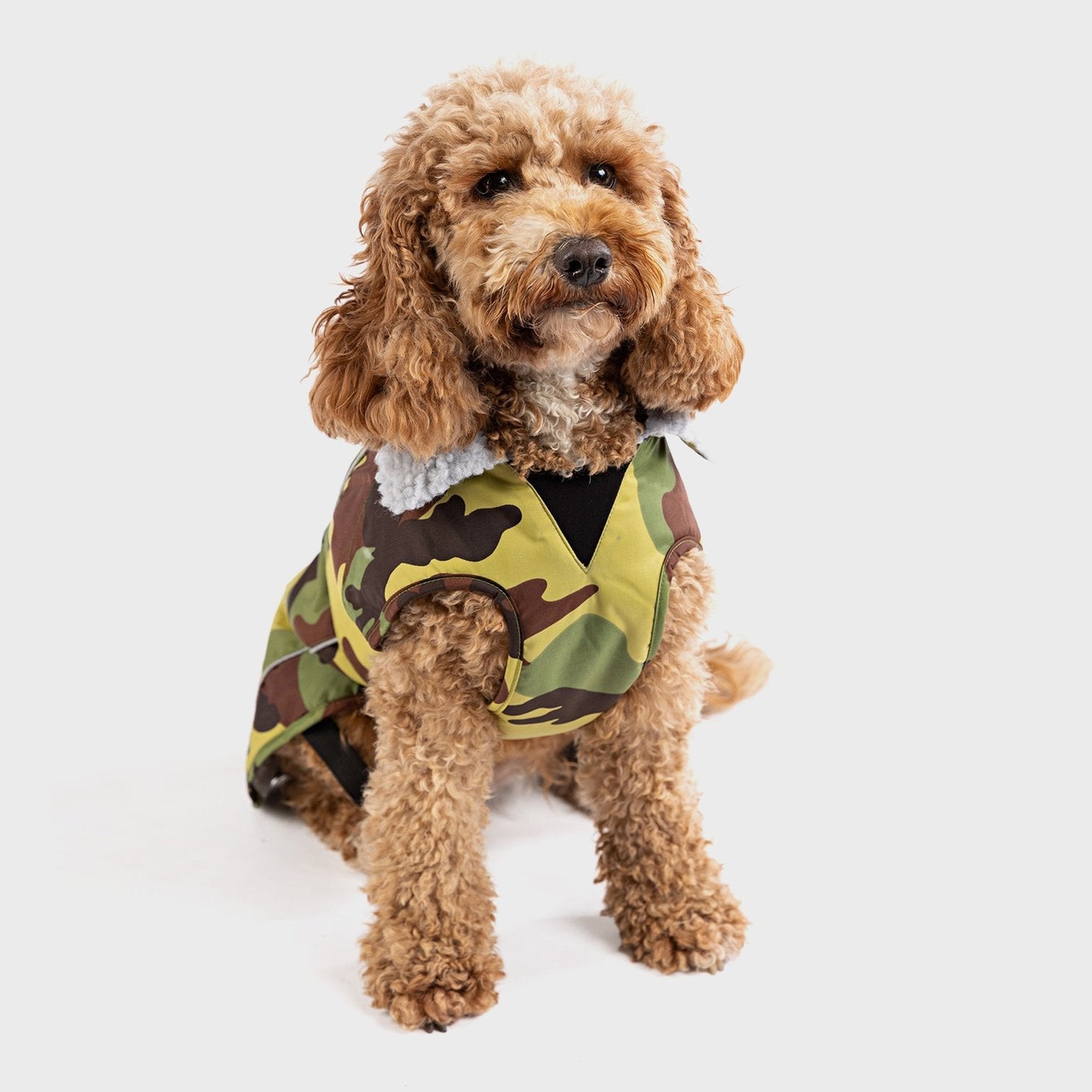 Dryrobe Dog Coat (XX-Large) - Camo Grey - ManGo Surfing