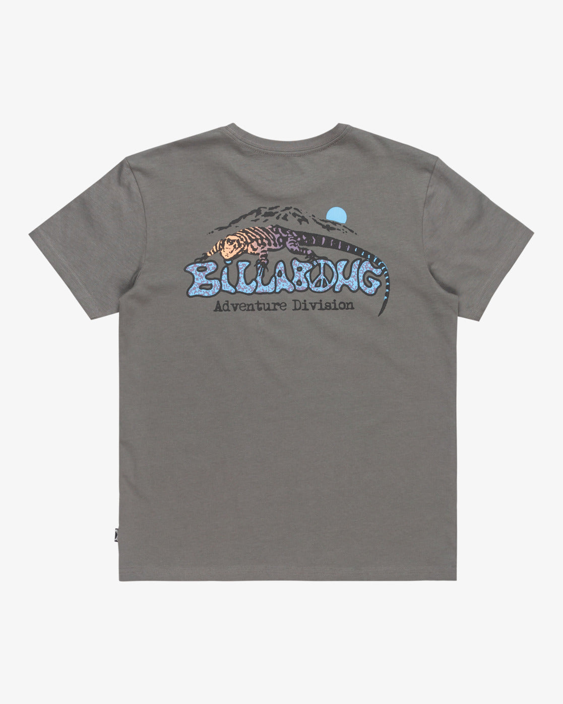 Billabong Boys Lizard Mountain T-Shirt (8-16 Yrs) - Slate Grey