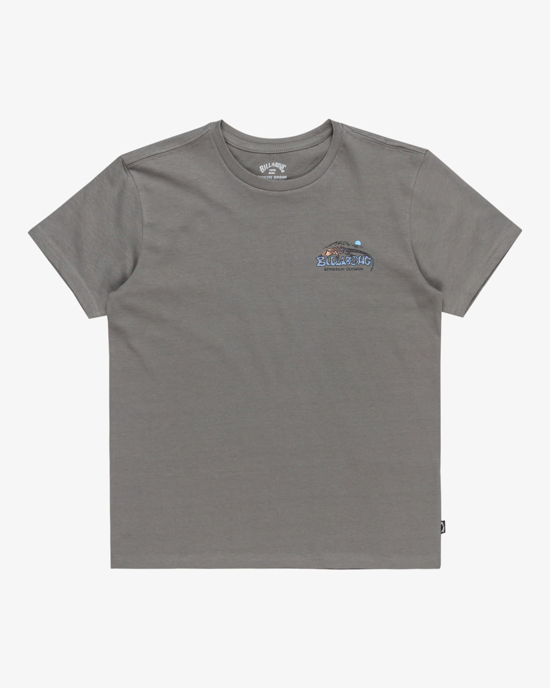 Billabong Boys Lizard Mountain T-Shirt (8-16 Yrs) - Slate Grey