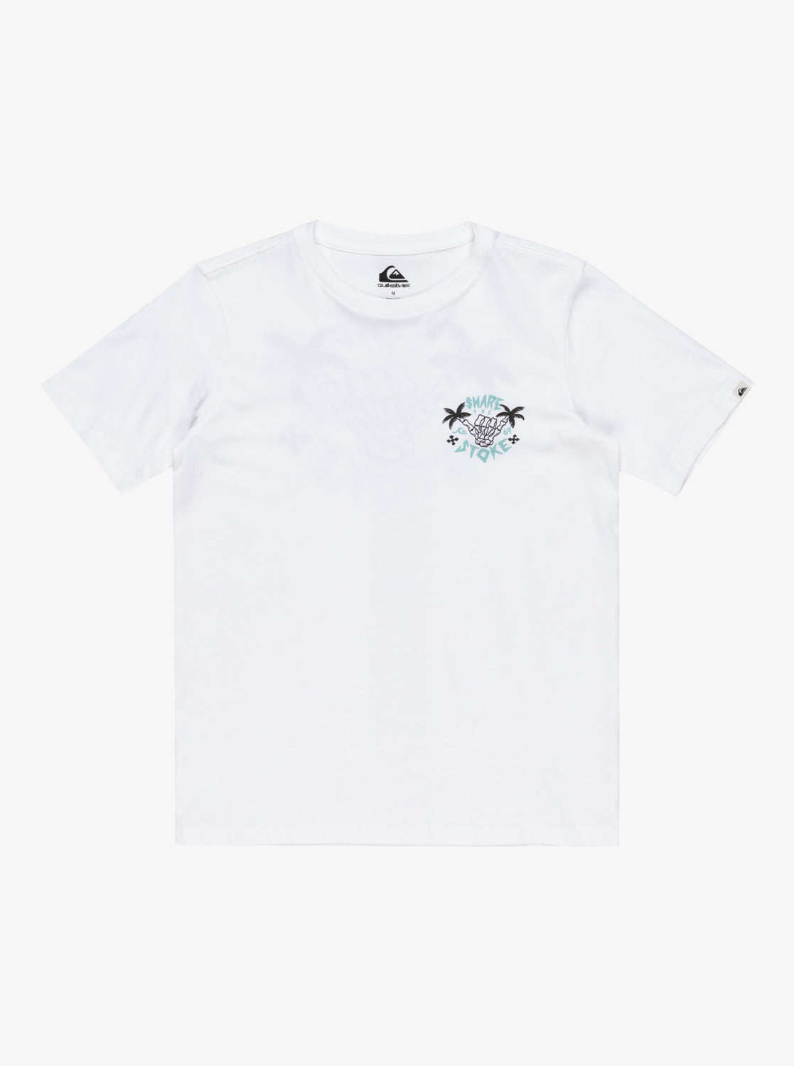 Quiksilver Boys EV Share The Stoke T-Shirt (8-16 Yrs) - White - ManGo Surfing